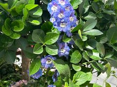 -方恒购物中心(望京小街店)