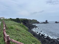 -涉地可支