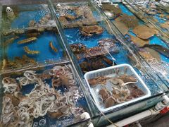 水产区-87号烧烤海鲜·大排档(金沙滩店)