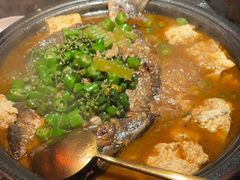 -探鱼·鲜青椒爽麻烤鱼(正佳广场店)
