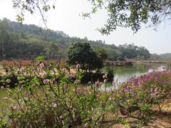 -南国桃园旅游度假区