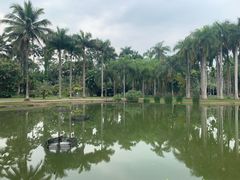 -中国科学院西双版纳热带植物园