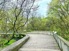 -西湖风景区-江洋畈生态公园