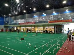 -翔龙双鱼篮球馆