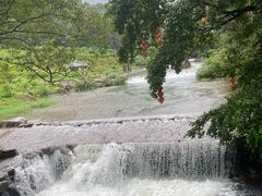 -广州市石门国家森林公园
