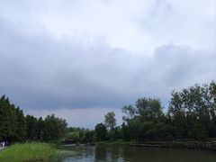 -溱湖国家湿地公园