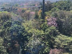 -白云山索道-售票处