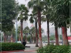 -南宁南湖公园