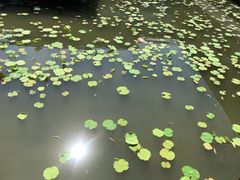 -绍兴鉴湖君澜大酒店