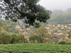 -杨家堂村