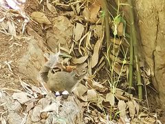 -红螺寺