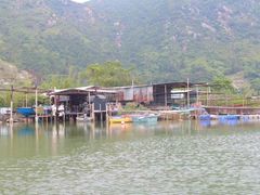 -大澳