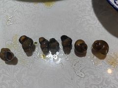 -呼吸森林·生态农庄农家乐私房菜