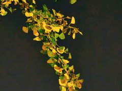 -西南政法大学(渝北校区)