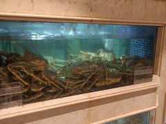 -顺峰(农展馆店)