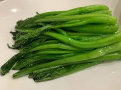 白灼广东菜心-食神鱼头佛跳墙(百子湾旗舰店)