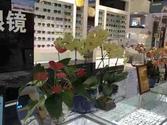 -横岗眼镜城