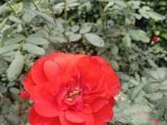 -杭州城北体育公园