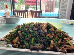 -铁山坪森林公园