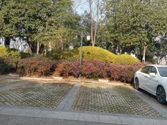 -金银湖国家城市湿地公园