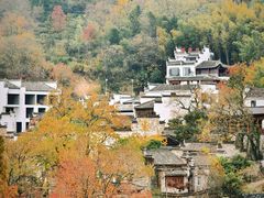 -塔川景区