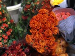 -循礼门鲜花花市(武汉循礼门店)