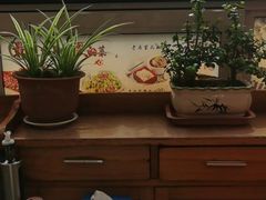 -大清花饺子(山庄店)