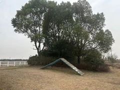 -上海崇明金茂凯悦酒店