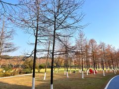 -宜兴龙背山森林公园