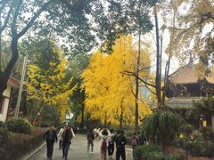 -白鹭湾湿地公园