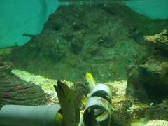 -北戴河圣蓝海洋公园