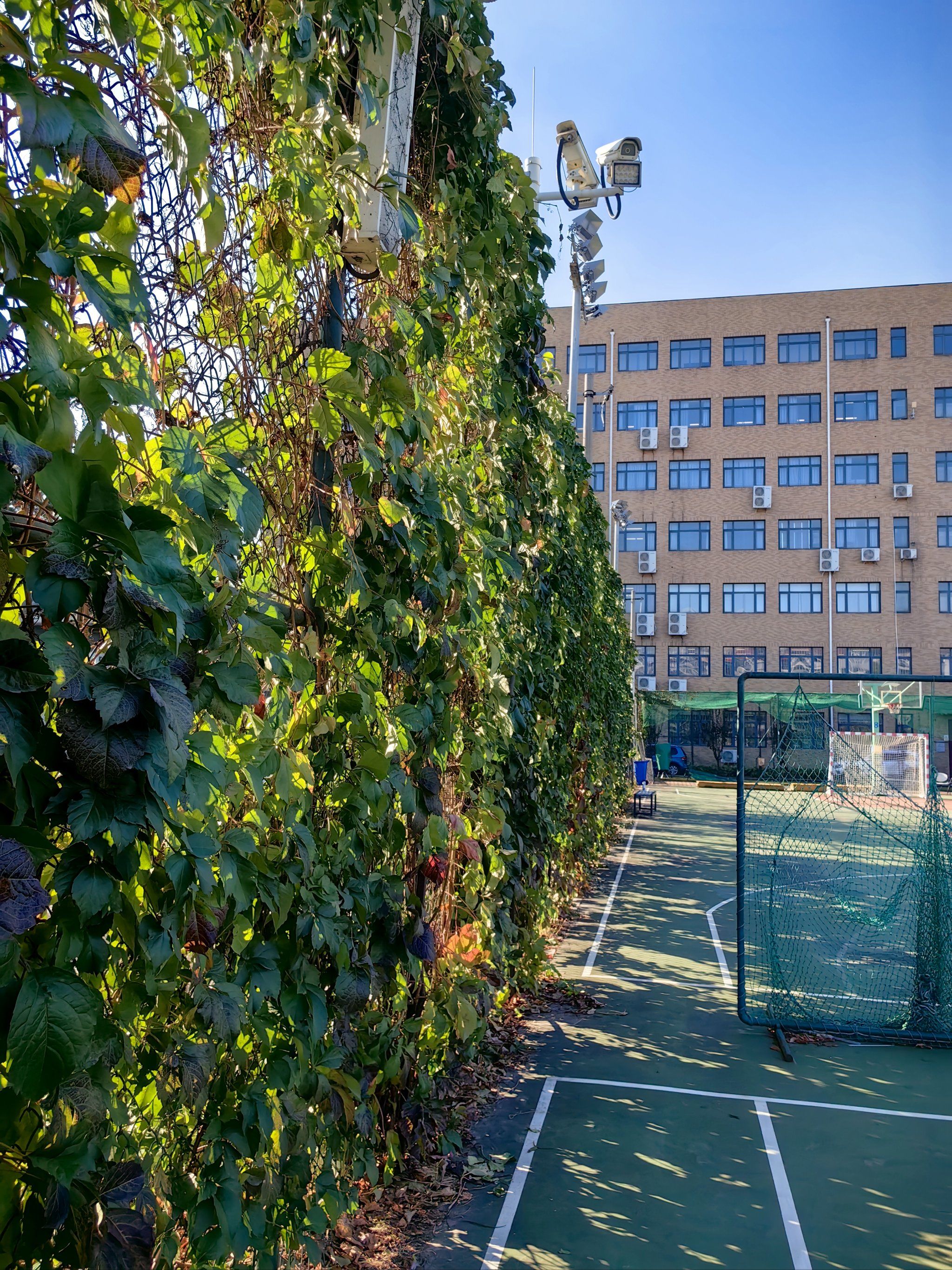 校园里的那抹风景 晨练更加愉悦