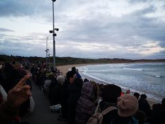 -企鹅岛