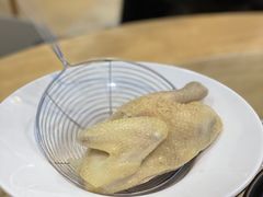 -喜上喜鸡煲翅(吉大店)