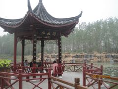 -合肥滨湖国家森林公园