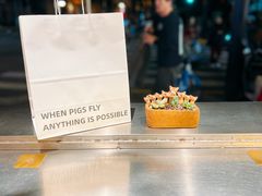 餐具摆设-WHEN PIGS FLY当猪飞