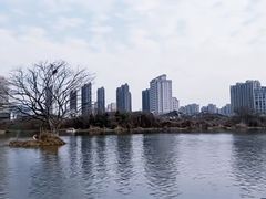 -洋湖国家湿地公园