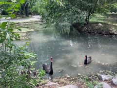 -北京麋鹿生态实验中心