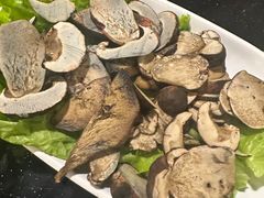 -草墩罗非鱼庄•野生菌•腊排骨(七星街上段店)