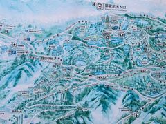 -铁山坪森林公园