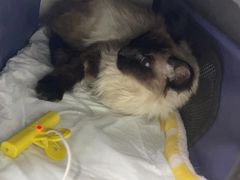 -天津前进宠物医院(前进道店)