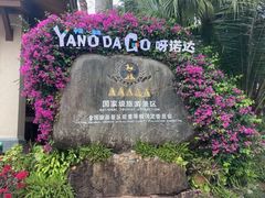 -呀诺达热带雨林