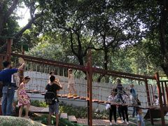 -天河儿童公园