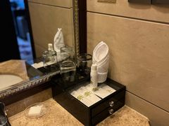 -长沙小天鹅戴斯酒店