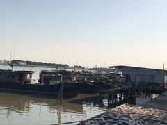 -大湾区中央湿地公园-十九涌