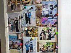 -青奢宠物·青奢猫舍