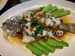 鲜花椒蒸桂花鲈-猪肉婆私房菜(容桂总店)