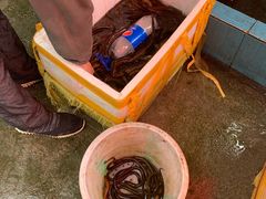 -盘龙黄鳝(盘龙居店)