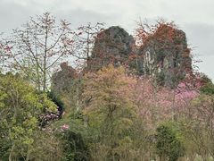 -南宁花花大世界景区