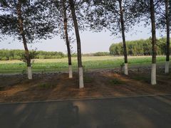 -东郊湿地公园